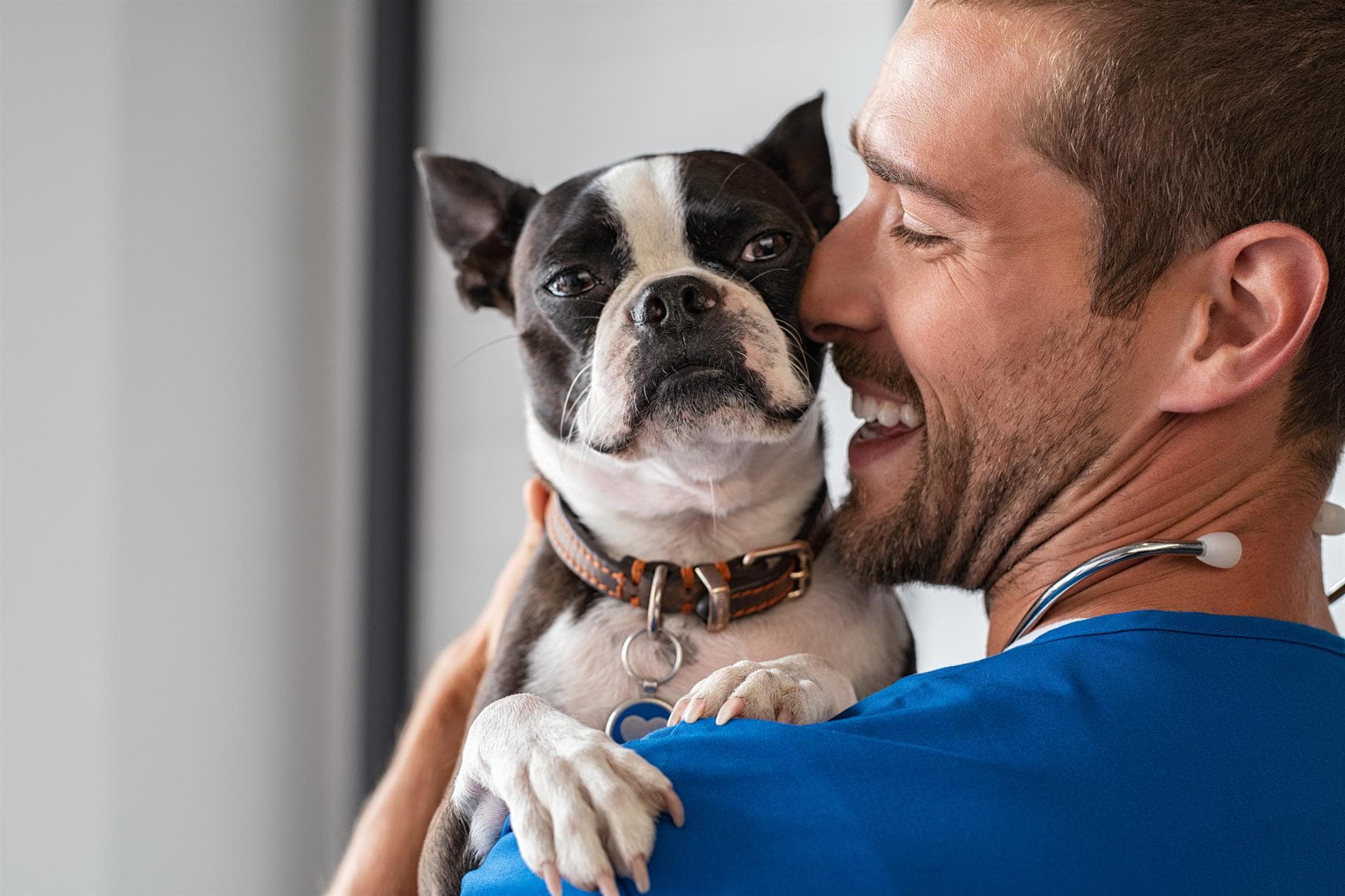 Doggycan, clínica veterinaria en Cambre